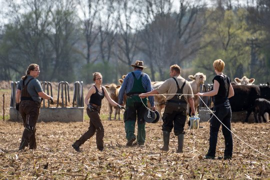 Landwirt*innen auf der Weide