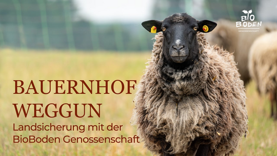 Beispiel Bauernhof Weggun