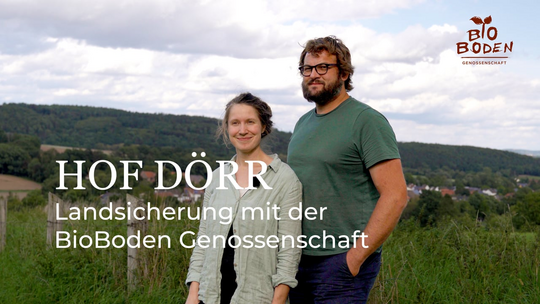 Beispiel Hof Dörr